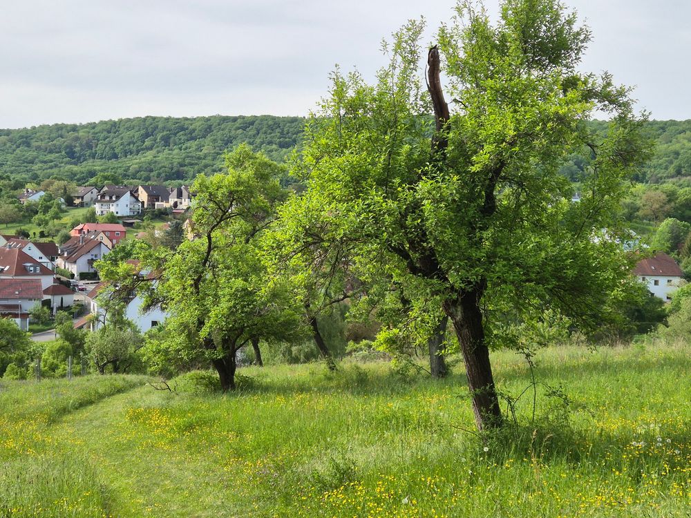 Energiemanagement - sustainability-material-management