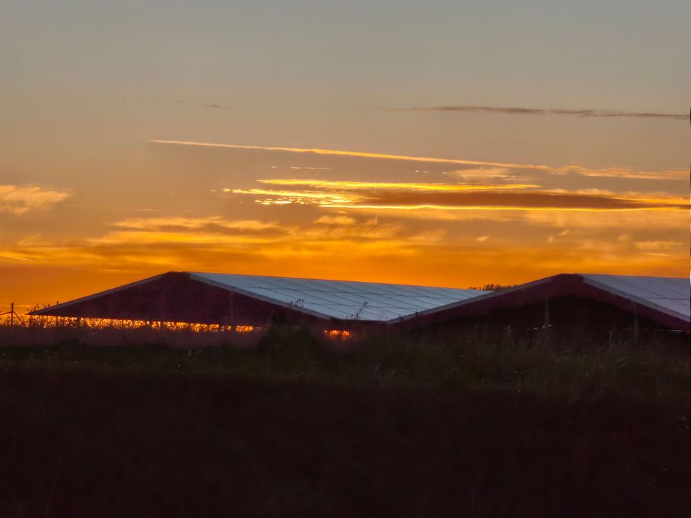 Nachhaltigkeit durch Innovation - Nachhaltigkeit für kommende Generationen